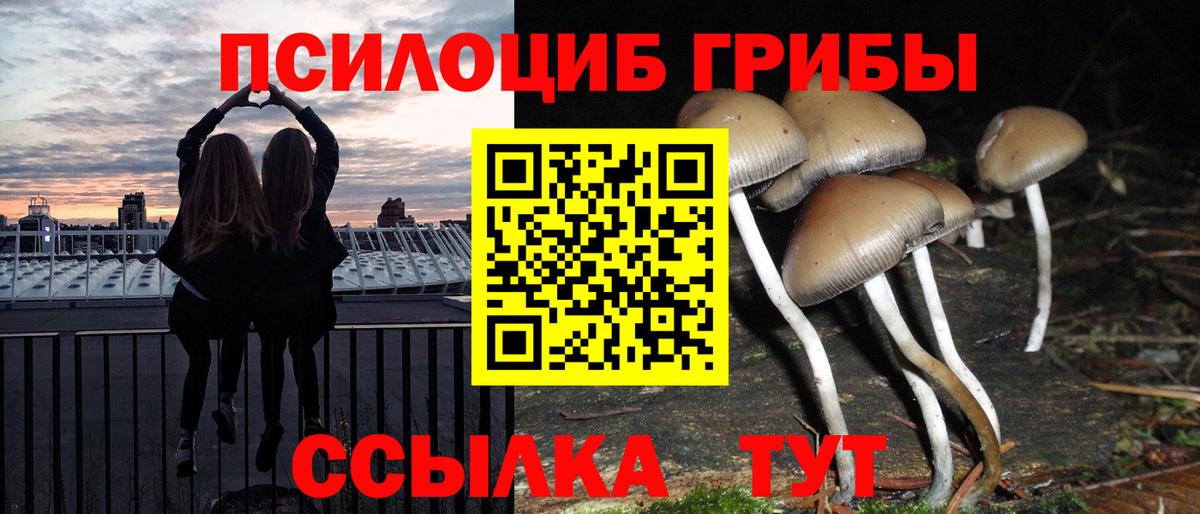 Галлюциногенные грибы мицелий Карасук